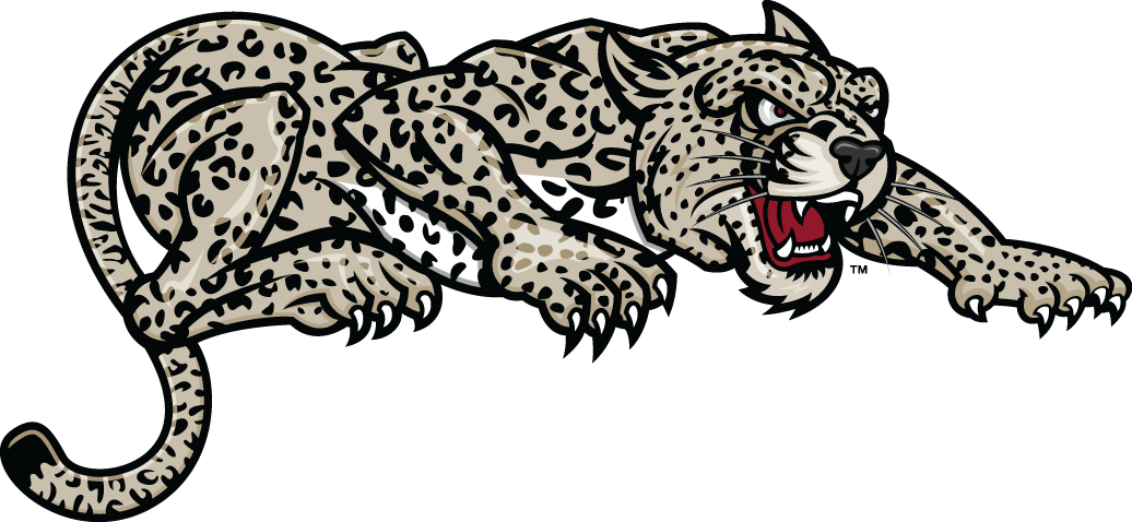 Lafayette Leopards 2000-Pres Partial Logo v2 diy iron on heat transfer